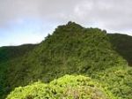Photo 6: Mount Liamuiga