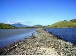 Photo 3: Little and Great Salt Ponds