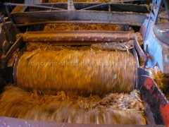 Crushed Sugae Cane