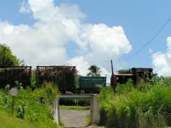 SSMC Locomotive and Cane Carts