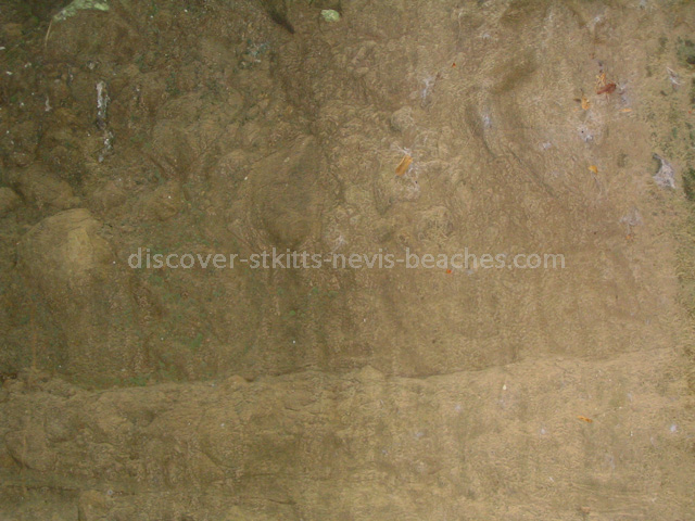 Carib petroglyphs at Bloody Point