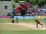 Photo 3: International Cricket Match