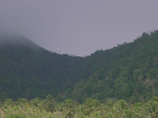 St Kitts rain forest in the Wingfield Area