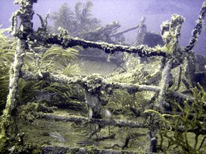 St Kitts scuba diving photo Deck rails of the River
Taw