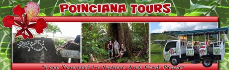 St Kitts tours by Poinciana Tours header image