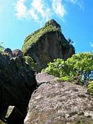 St Kitts tours with David Swanston of Poinciana Tours. St Kitts photo of Mount Liamuiga taken on a St Kitts volcano tour with Poinciana Tours.