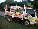 St Kitts tours with David Swanston of Poinciana Tours. St Kitts photo of Poinciana Tours open air safari jeep.