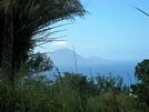 St Kitts tours with David Swanston of Poinciana Tours. St Kitts photo of the view from Mount Liamuiga taken on a St Kitts volcano tour with Poinciana Tours.