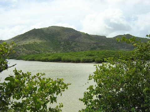 St Kitts Southeast Peninsula Safari photo- The Friar's Bay salt pond and surrounding hills