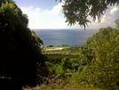 St Kitts tours and Island Safaris with Captain Sunshine Tours. St Kitts photo of Captain Sunshine Tours view from rainforest.