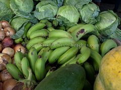 Vegetables produced by members of the St Kitts Farmer's Cooperative Society