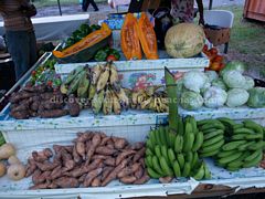 Sandy Point Farmer's Cooperative Stall