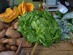 Vegetables produced by members of the St Kitts Farmer's Cooperative Society